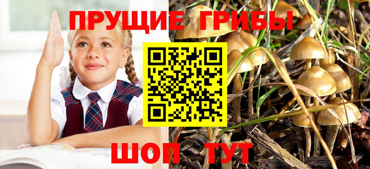 Галлюциногенные грибы Magic Shrooms Унеча